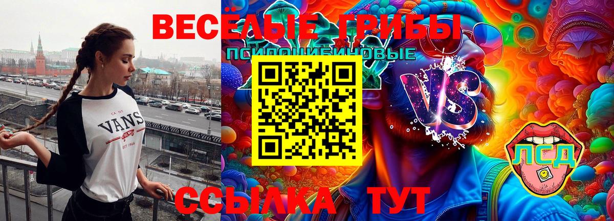 Дальнегорск  Галлюциногенные грибы Cubensis  Вход с VPN  Галлюциногенные грибы мухоморы 